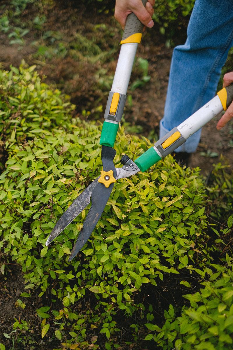Grass Cutting